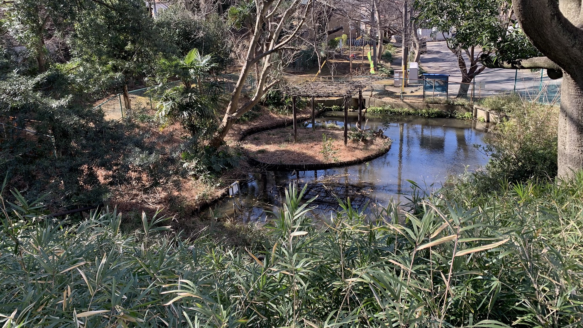 飯山 満 町